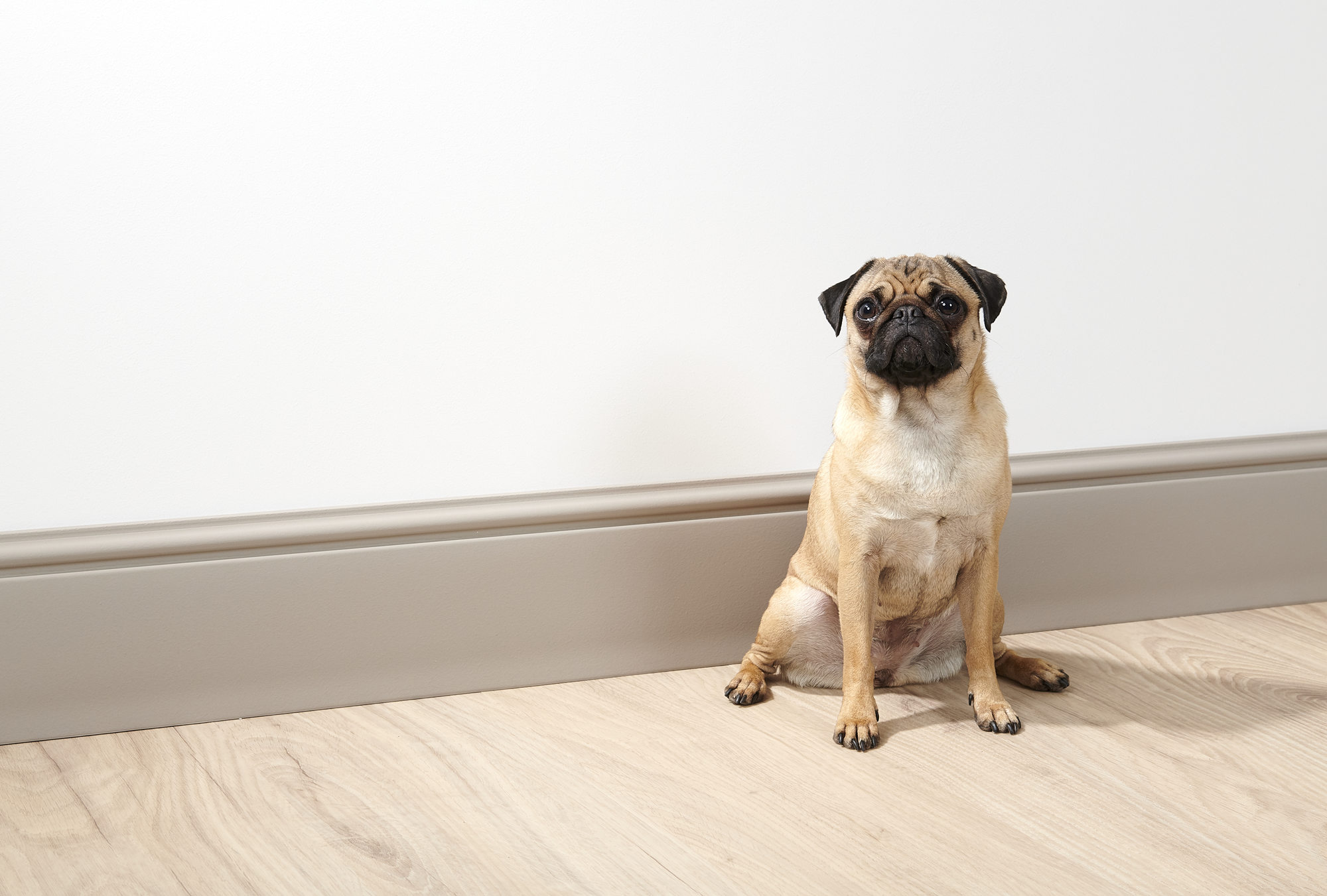 listwa przypodłogowa FL17