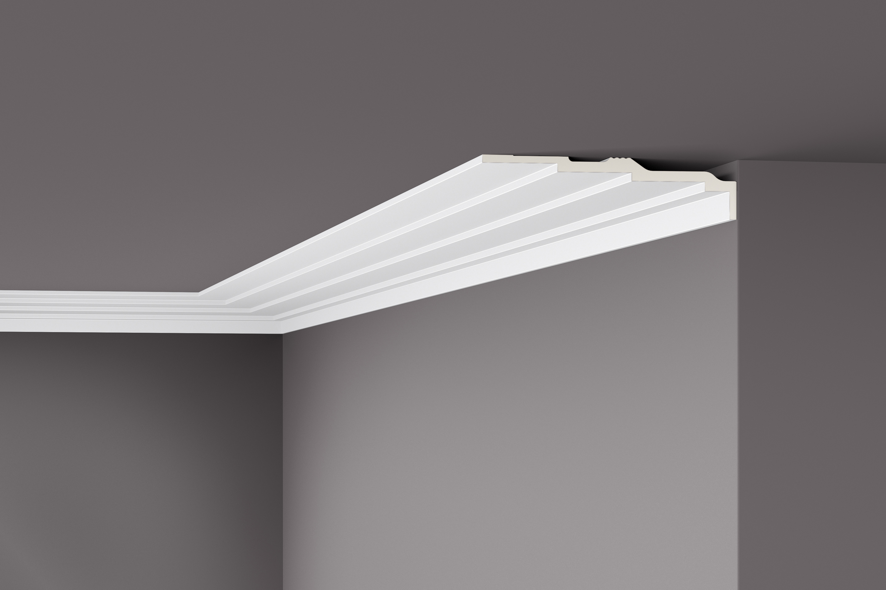 listwa przysufitowa AD21