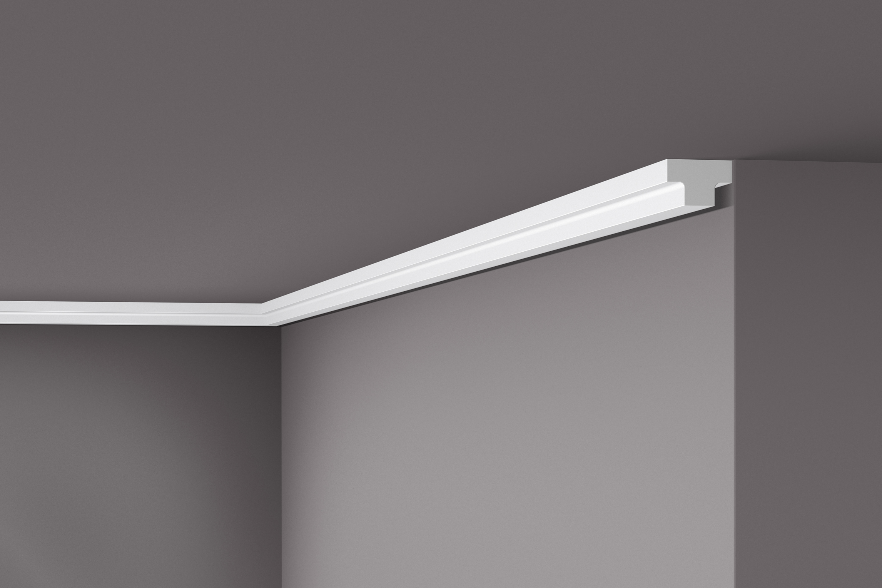 listwa przysufitowa T4 